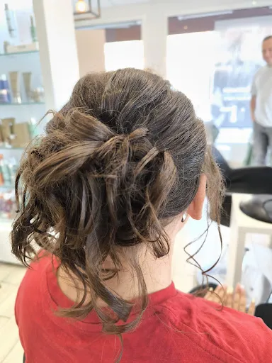 Brun D Hair à Sorbiers