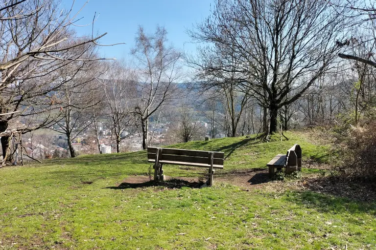 Visites commentées des parcs stéphanois, dans le cadre des Rendez-vous aux jardins à Saint-Étienne