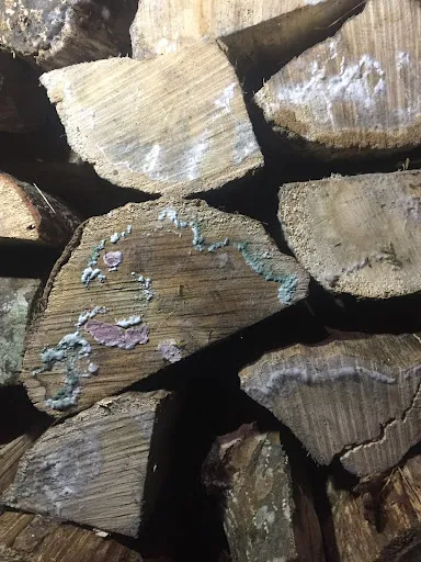 Gerin Patrick à Sorbiers